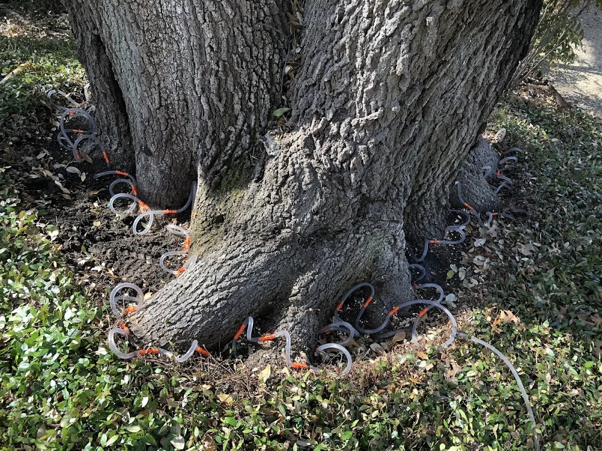 Detailed Shrub and Hedge Trimming job site in Tryon